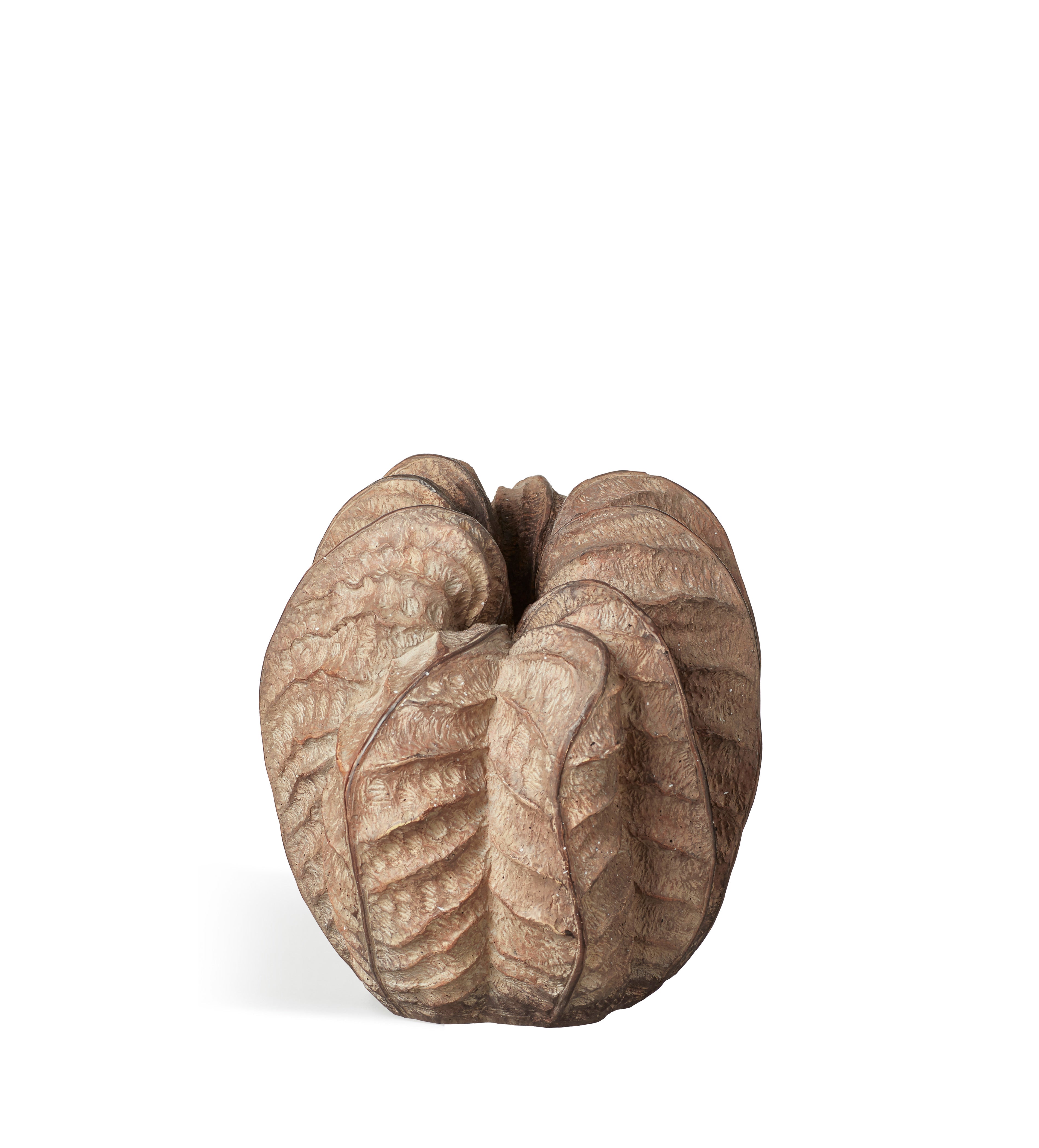 Daintree Decorative Vase - Brown