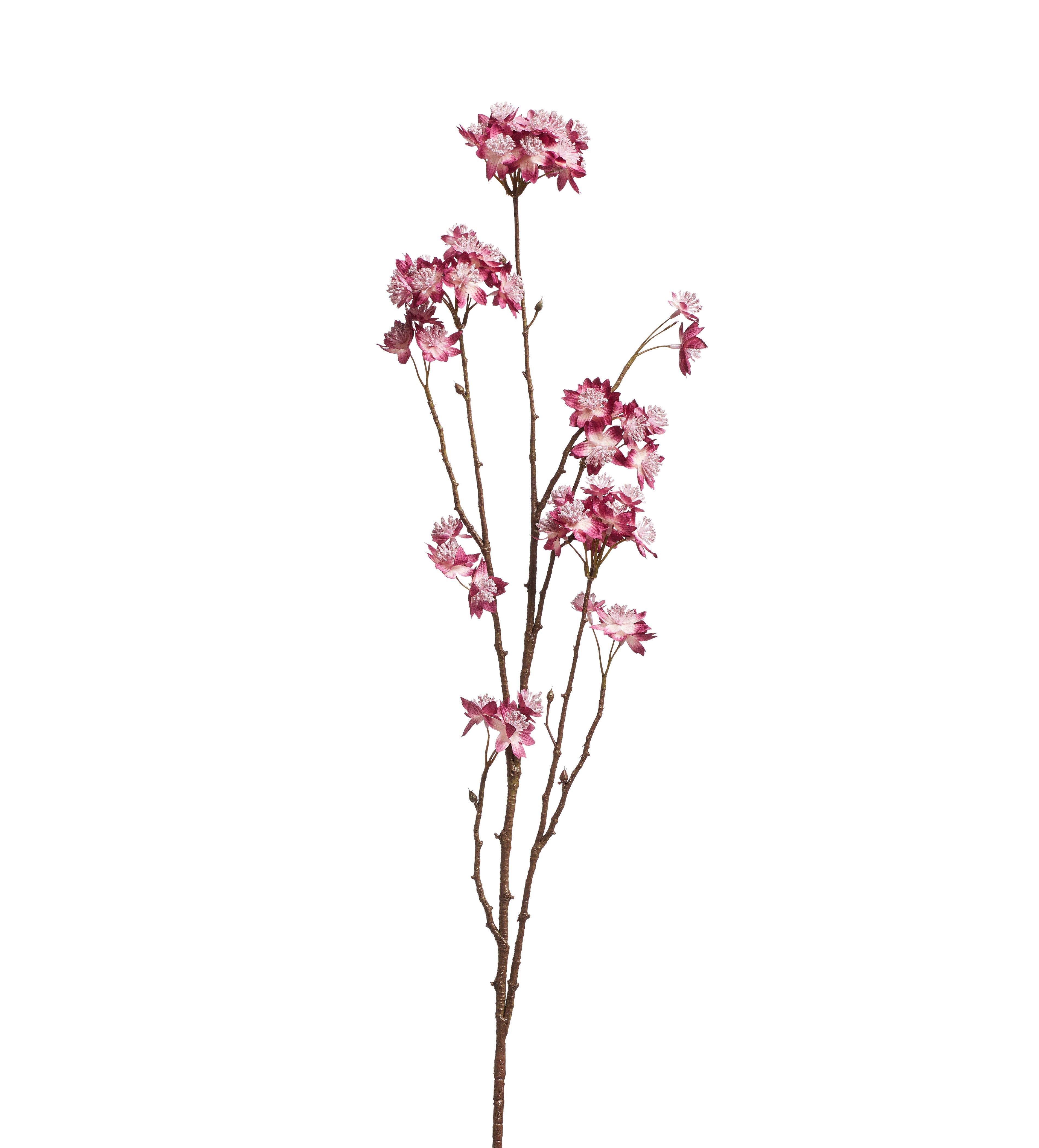 Faux Astrantia Stem - Pink