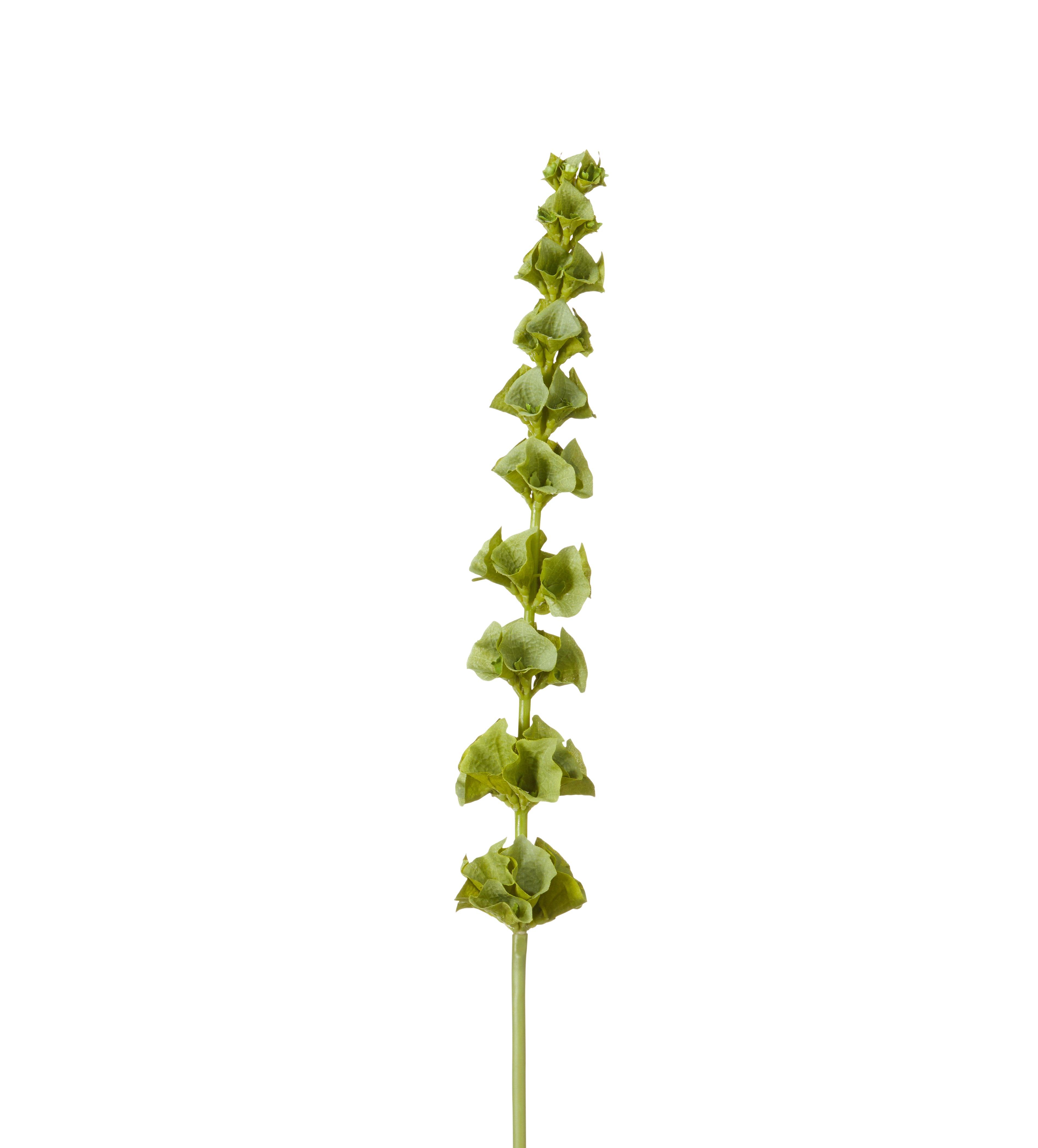 Faux Bells of Ireland Stem - Green