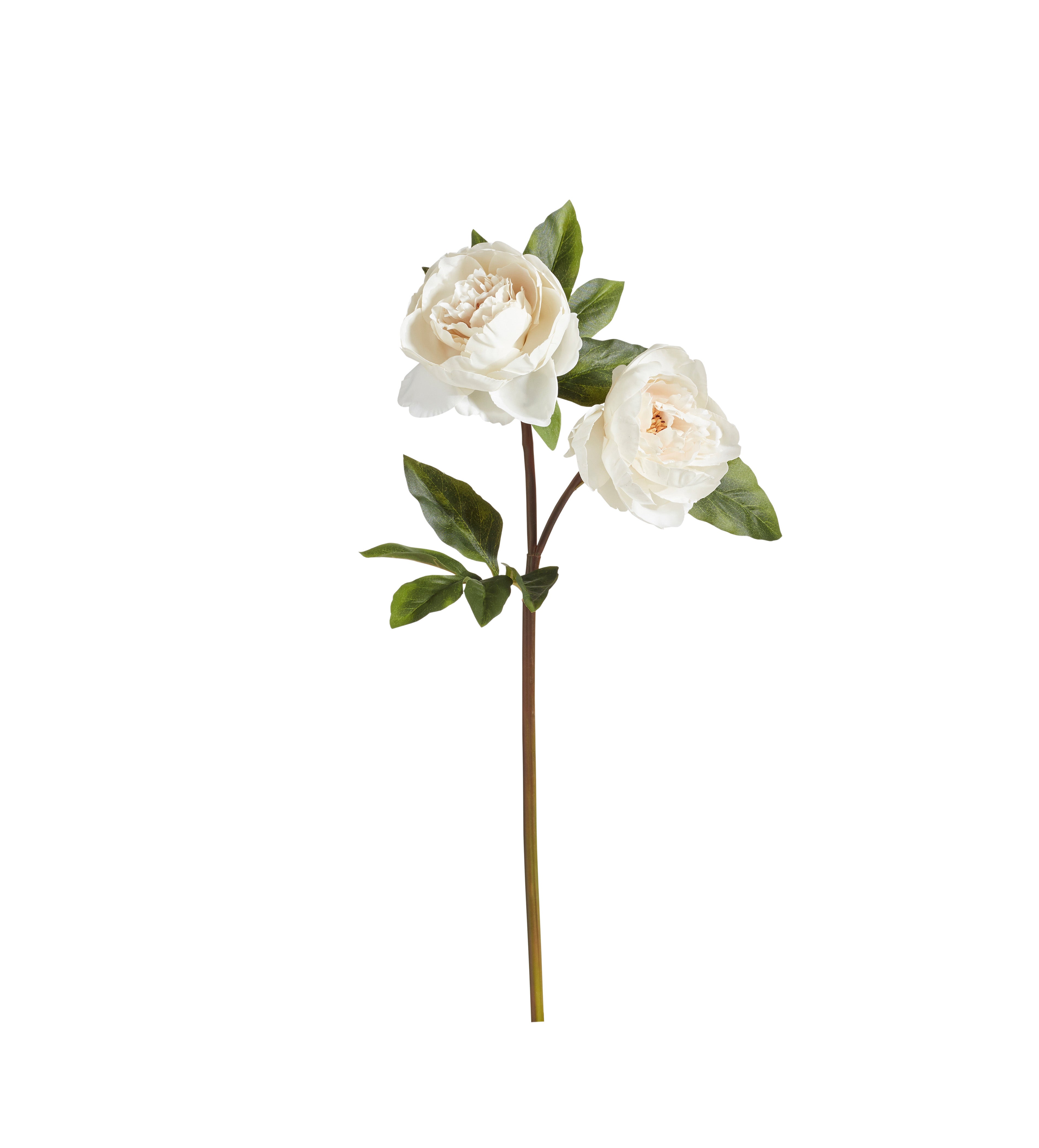 Faux Double Peony Stem - White