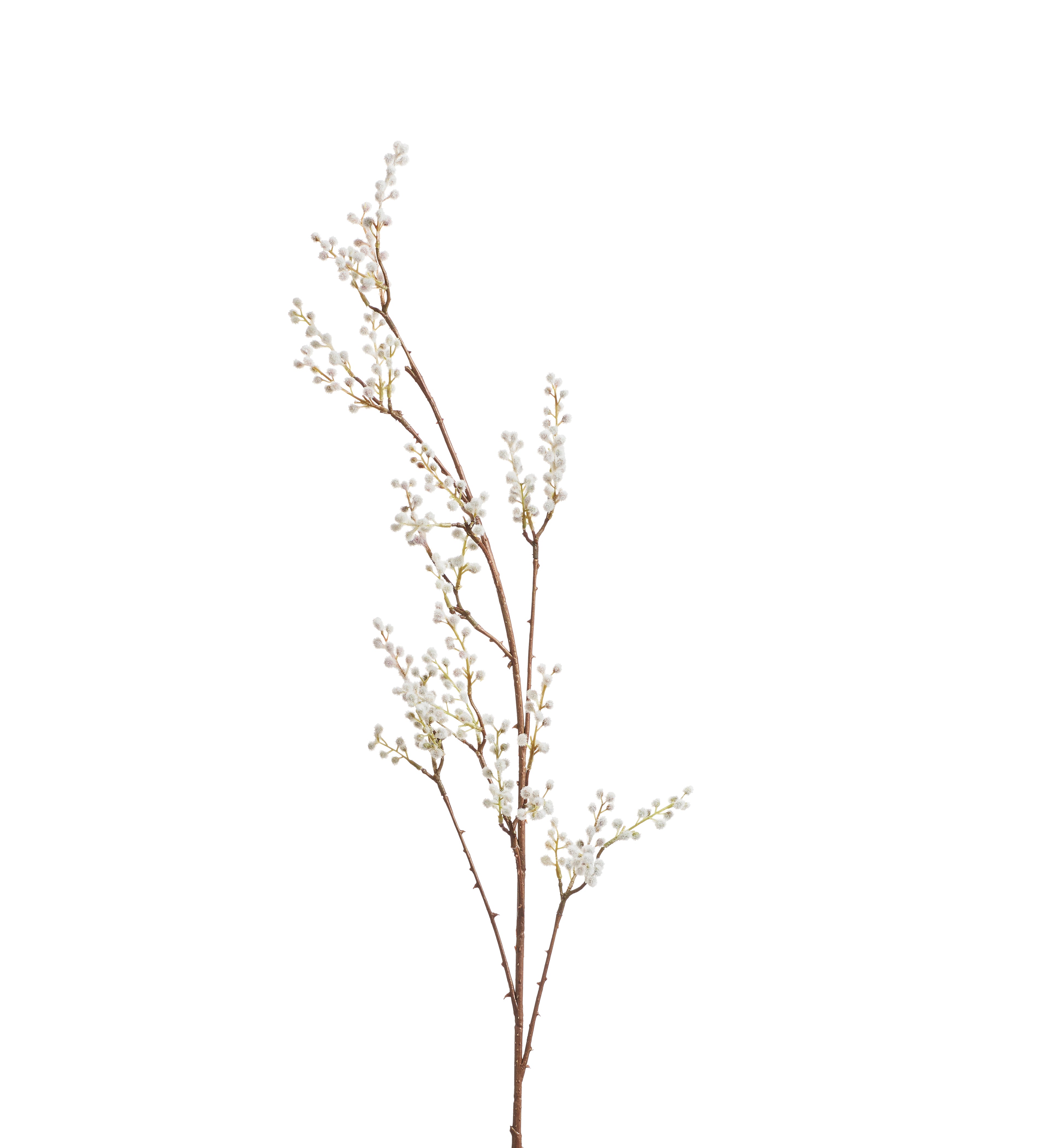 Faux Mimosa Stem - Large - Cream