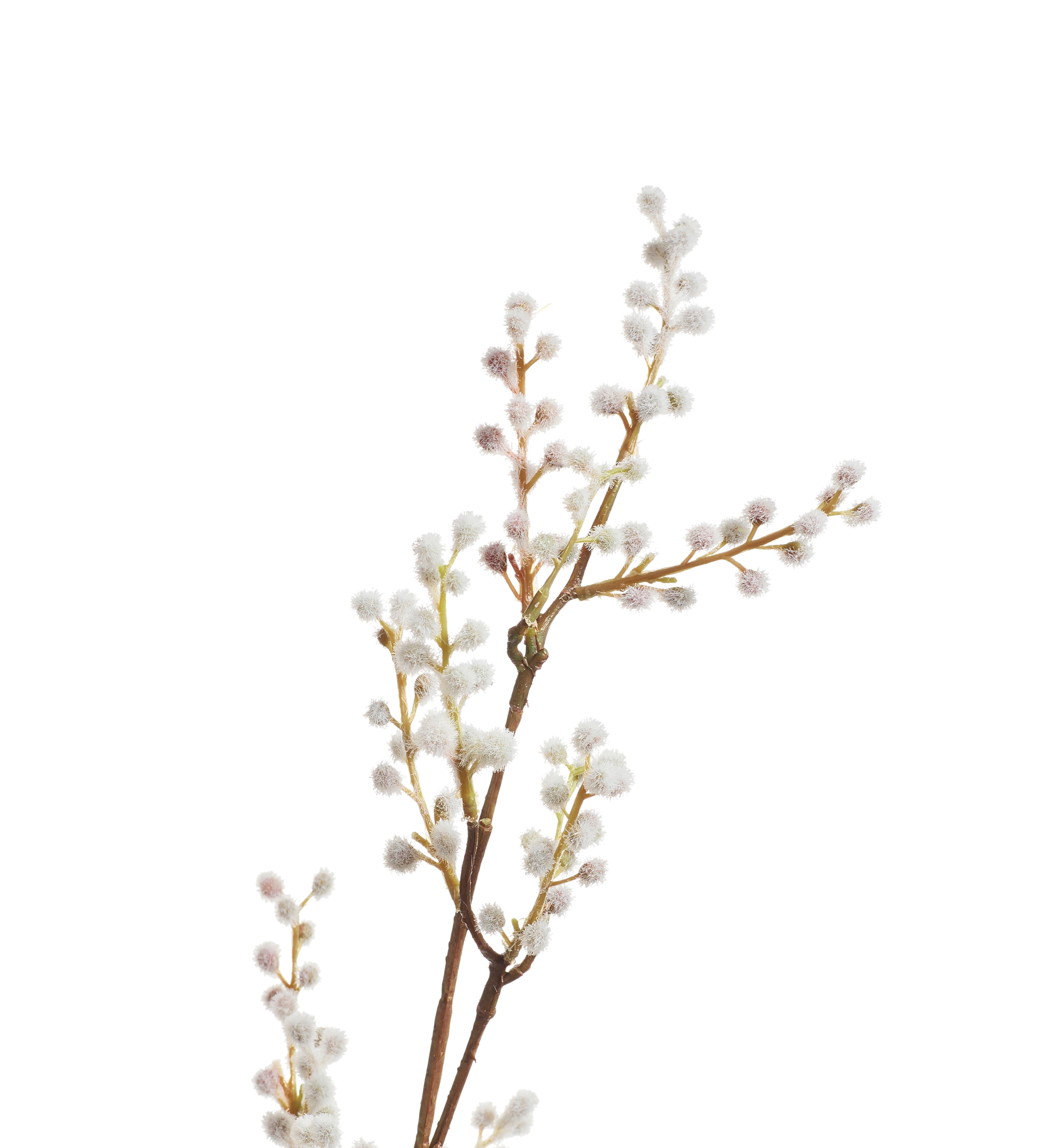 Faux Mimosa Stem - Large - Cream
