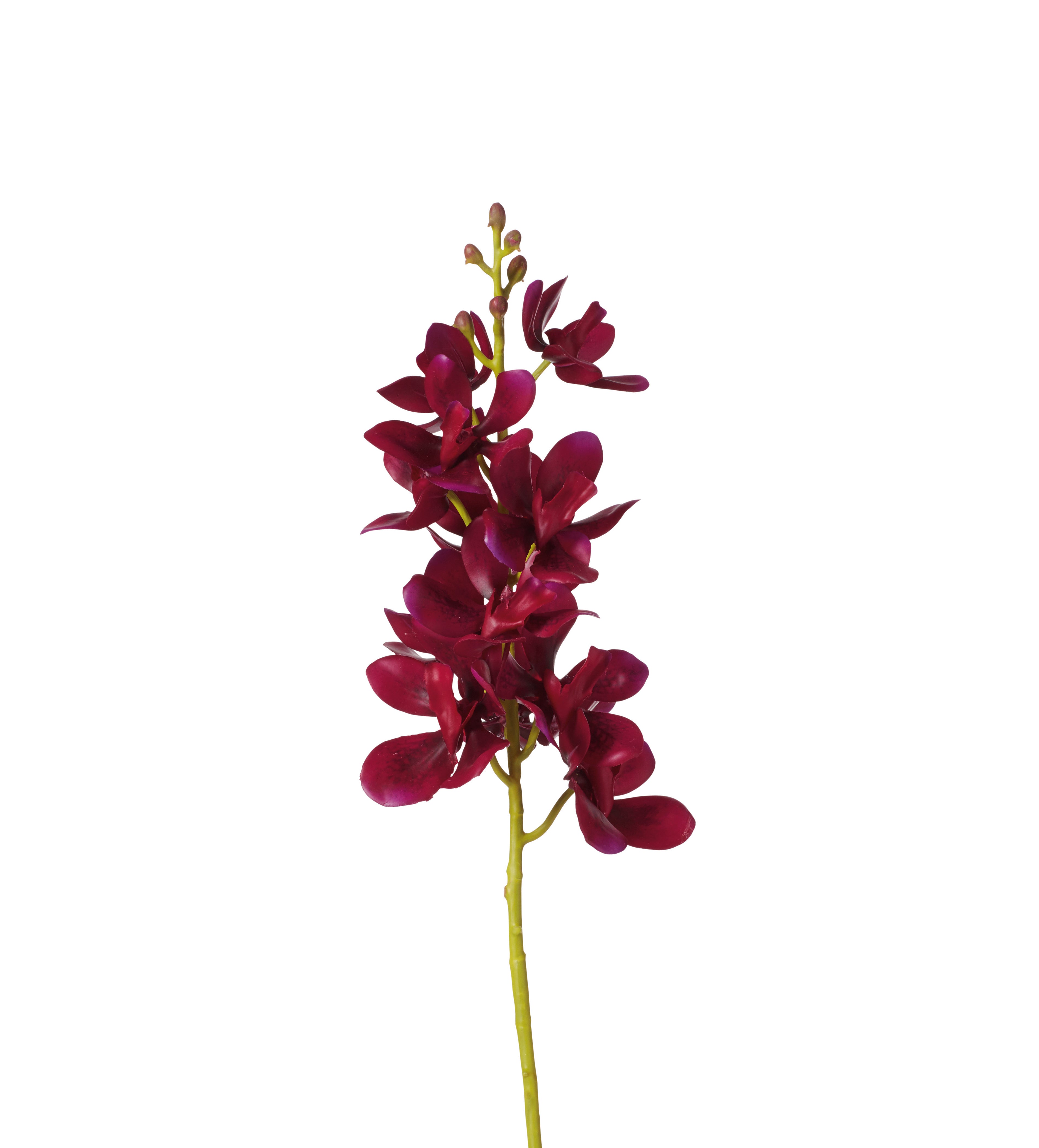 Faux Phalaenopsis Orchid - Purple