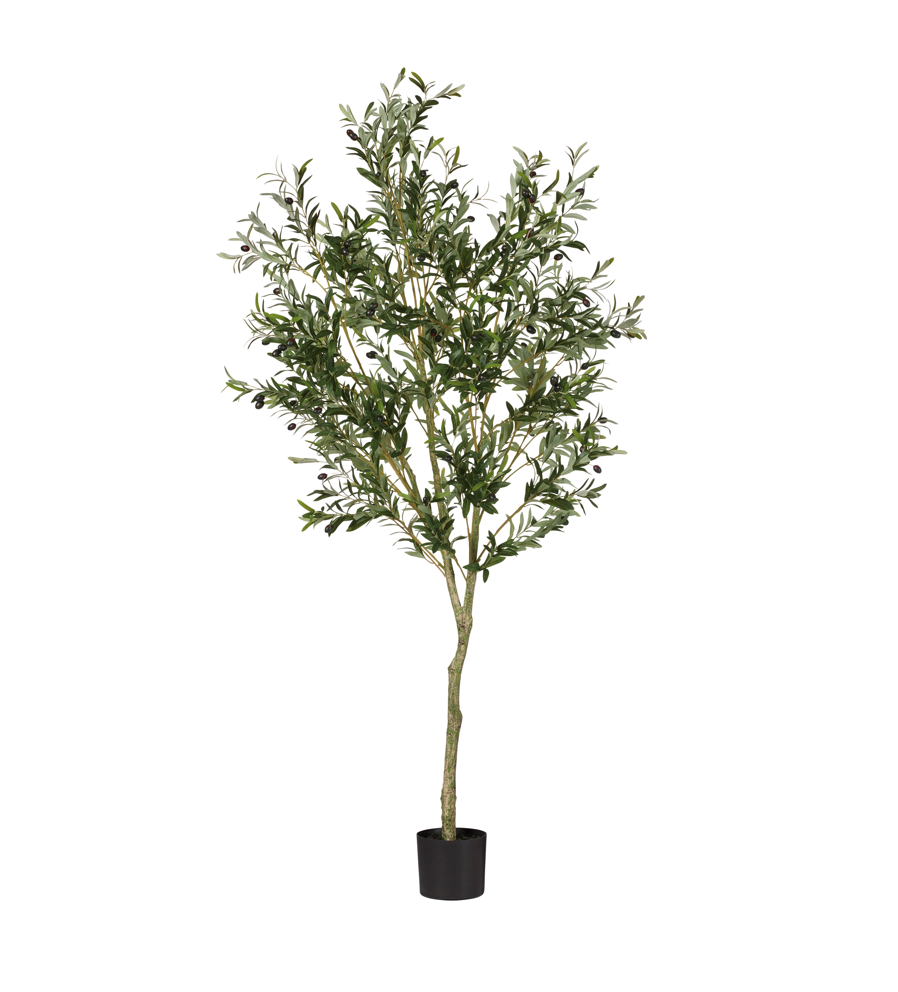 Faux Potted Olive Tree - Large - Black