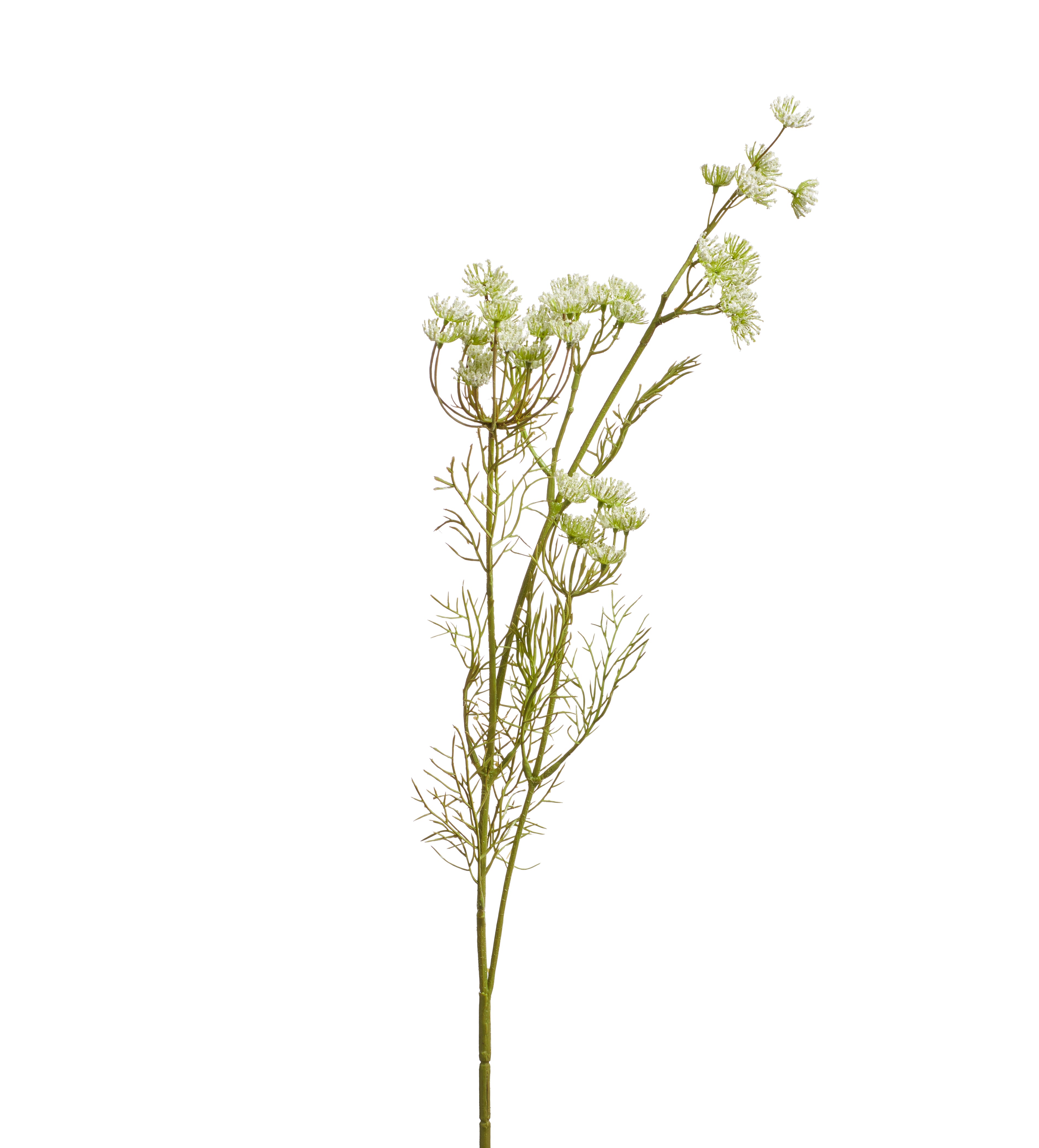 Faux Queen Anne's Lace Stem - White