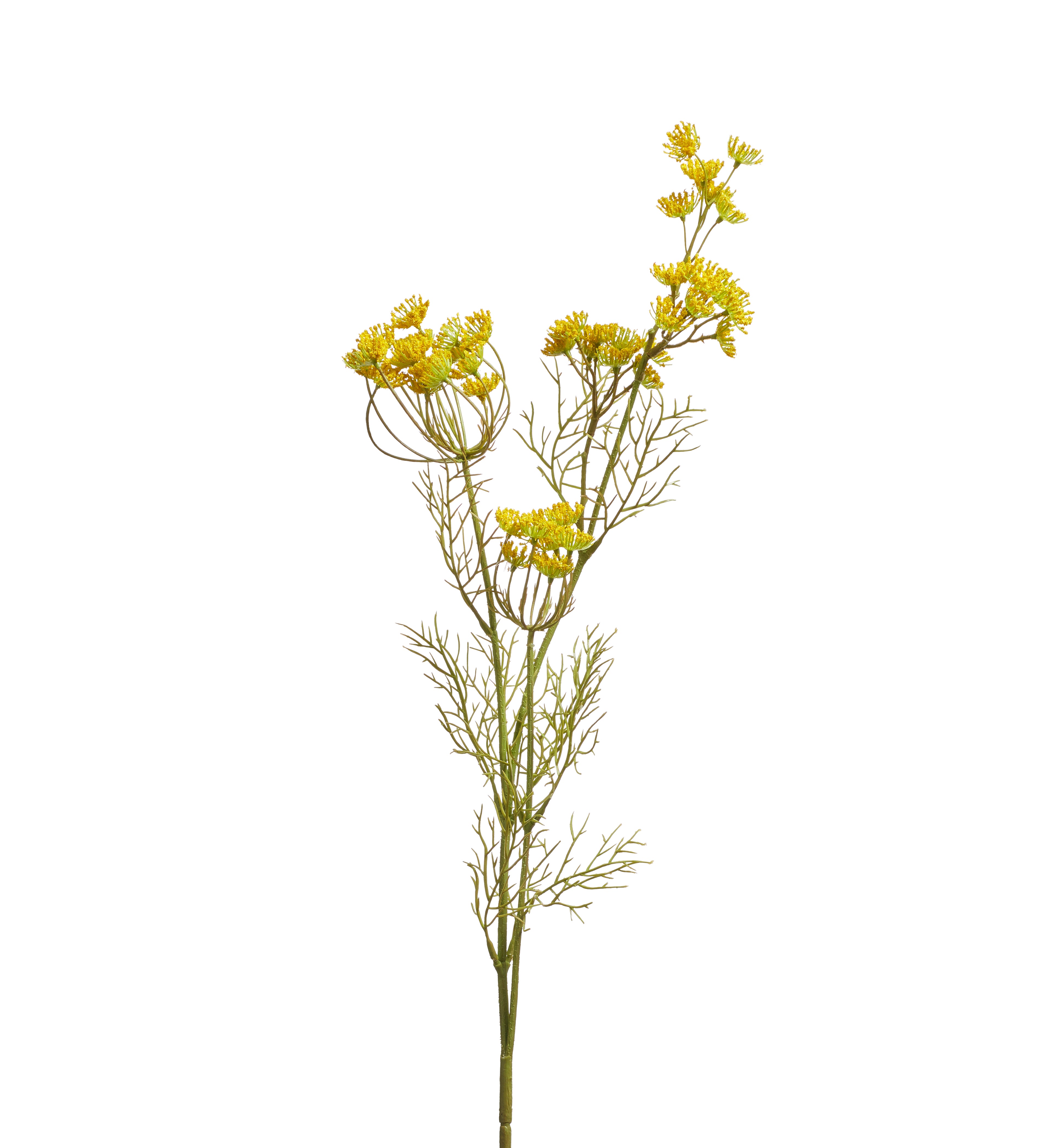 Faux Queen Anne's Lace Stem - Yellow